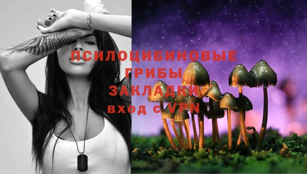 дурь Алексин