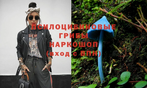 дурь Алексин